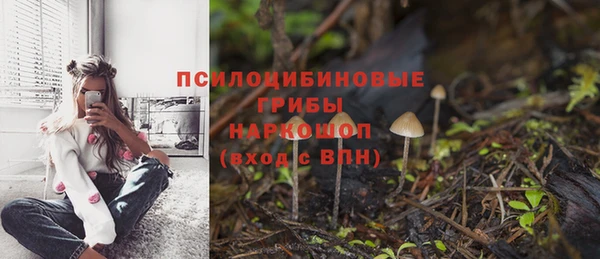 круглые Михайловск